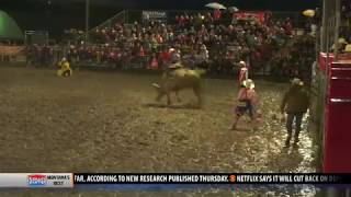 Highlights: Livingston Roundup bull riding - Day 2