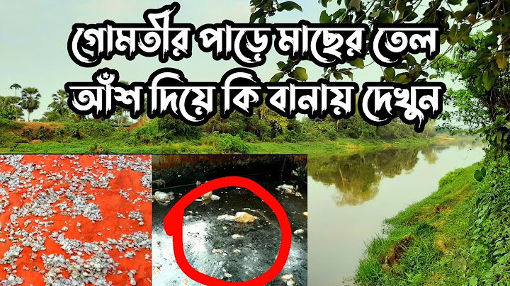 মাছের ফেলে দেওয়া আঁশ থেকে দামি প্রসাধনী উৎপাদন করা হয় | মাছের তেল Fish Oil