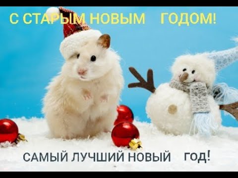 Красивое поздравление со Старым Новым Годом! Пусть он будет для тебя, ,.Самый лучший новый год,
