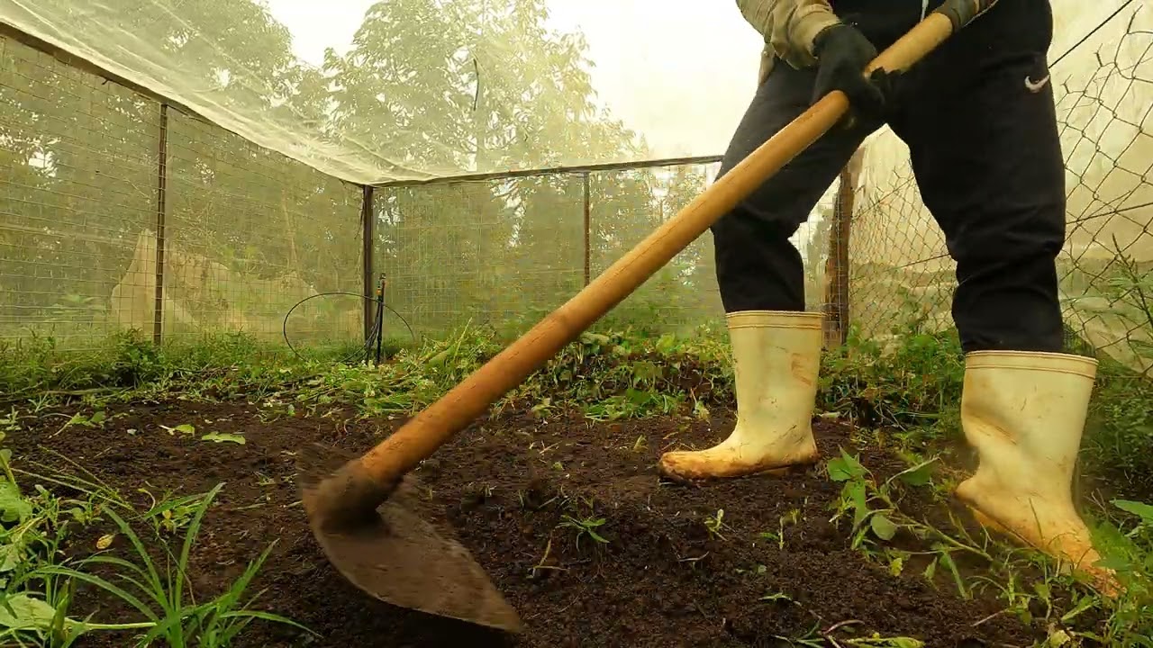 Về nhà làm vườn