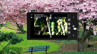 Canon Network Cameras On Ip Centcom