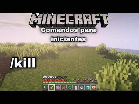 *COMANDOS PARA INICIANTES* como usar o /kill