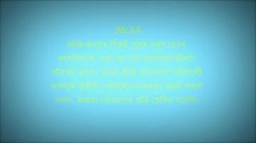 Surah Yasin (Full) ( Saad Al-Ghamidi ) سعد الغامدي - سورة يس with Bengali Transcript