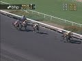 The 16th Running of the Desert Stormer Handicap - $70,000 Added