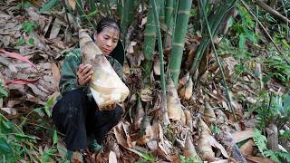 Harvesting giant bamboo shoots after the rain - garden renovation and cooking. TrieuToLac screenshot 3