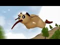a donde voy | kiwi the flightless bird | Instagram reels