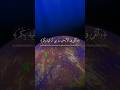 Quran majeed lyrics