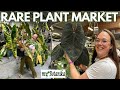 Crazy cool plants at mybotanika hamm  plant with roos