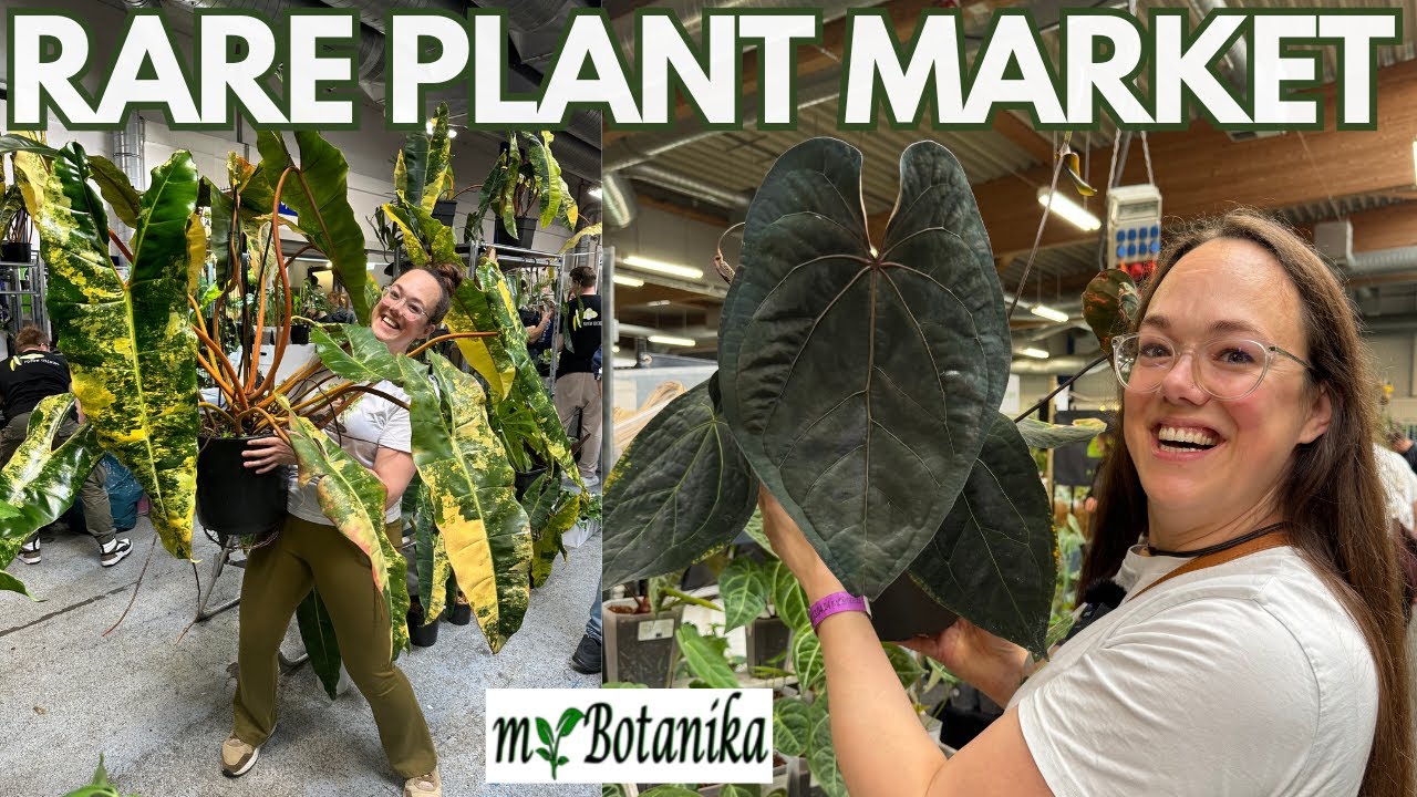 CRAZY cool plants at MyBotanika Hamm | Plant with Roos