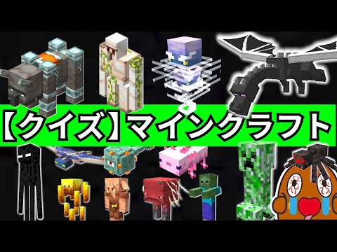 マインクラフト【名前あてクイズ】全問正解で、マイクラガチ勢！