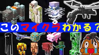 マインクラフト【名前あてクイズ】全問正解で、マイクラガチ勢!