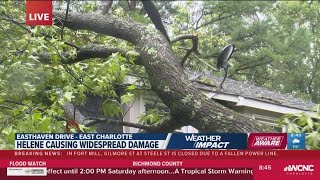 Massive tree falls on Charlotte home, takes down power lines