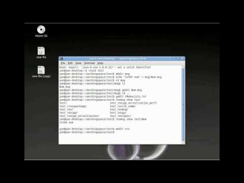 ROS msgs and srvs[ENG]