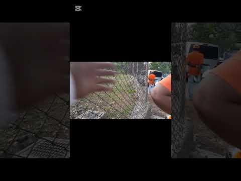 Election Day At The Poling Station