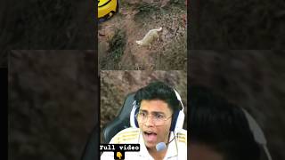shameer ine പൂച്ച ആകി 🤣#mrzshameer #mrzthoppi #sheikhgaming #xlantisrp #mrzmack #ismailrp #thoppi