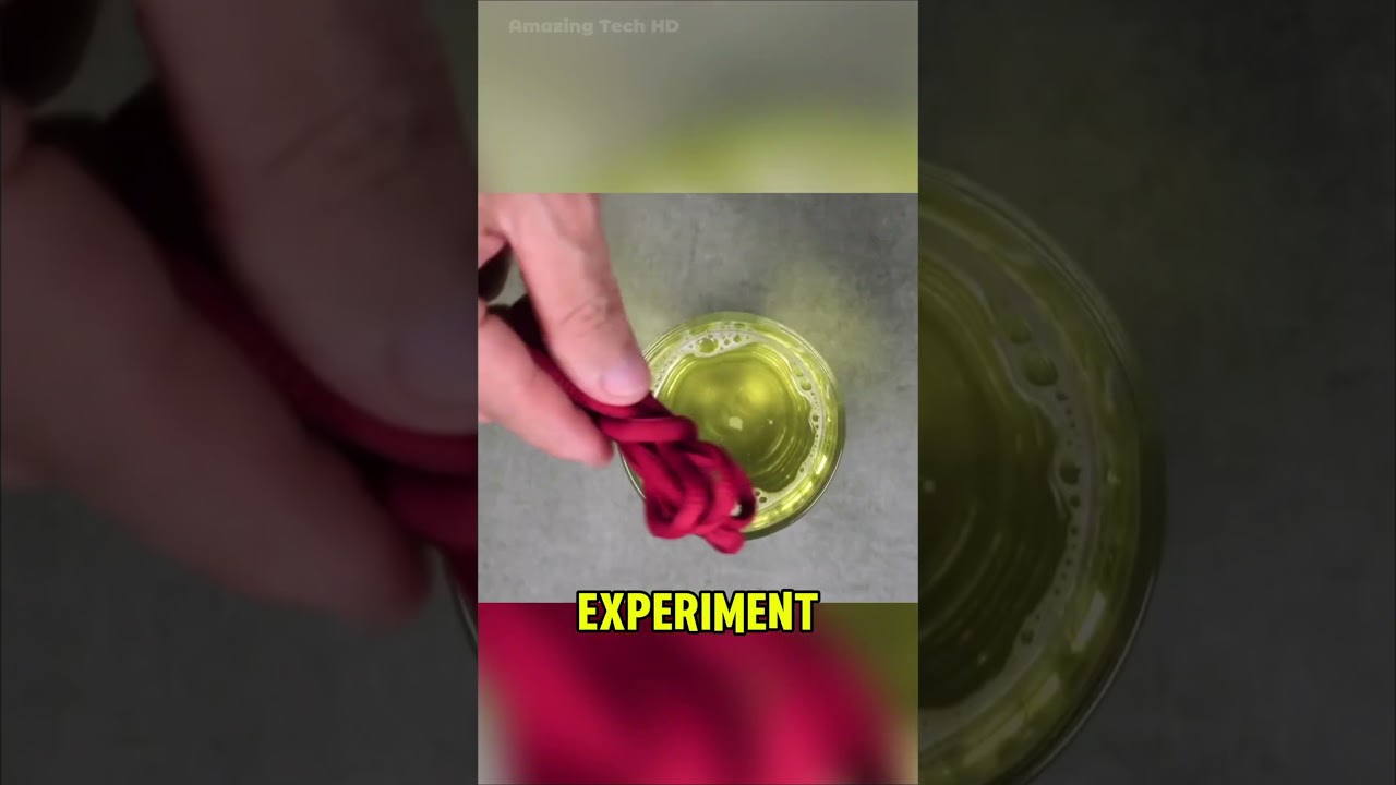 Unbelievable Science: Experiments That Will Change How You See the World