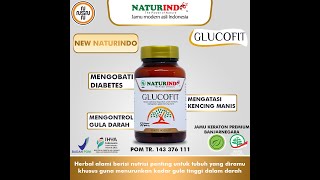 Obat Herbal Diabetes- Kencing Manis- Sakit Gula- Menurunkan Kadar Gula Darah