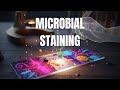 Microbial Staining: Techniques and Applications