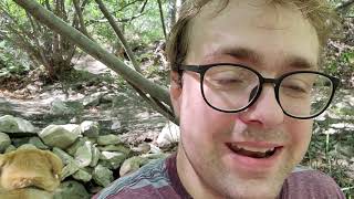 Celebrity Autistic Thinking Styles Net Worth