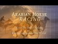 Arabian Horse Racing Documentary ~ From Desert Sands to Racecourses Around the World