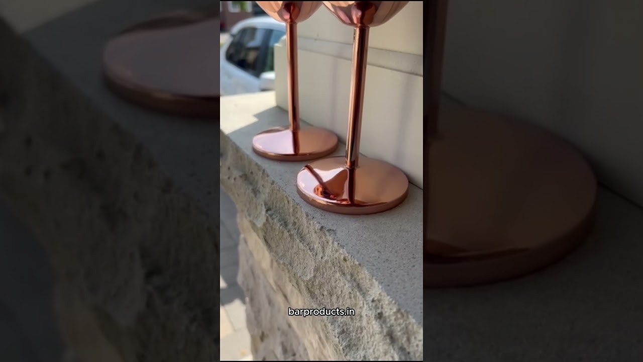 NJ Stainless Steel Wine Glass (www.barproducts.in)