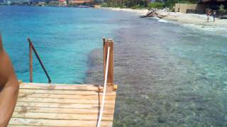 Parrot Island Divers Scuba Nashville Eden Beach