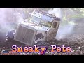 The Best Of Sneaky Pete