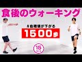 【食後のウォーキング】1500歩歩いて血糖値を下げよう !健康、ダイエットに最適!!