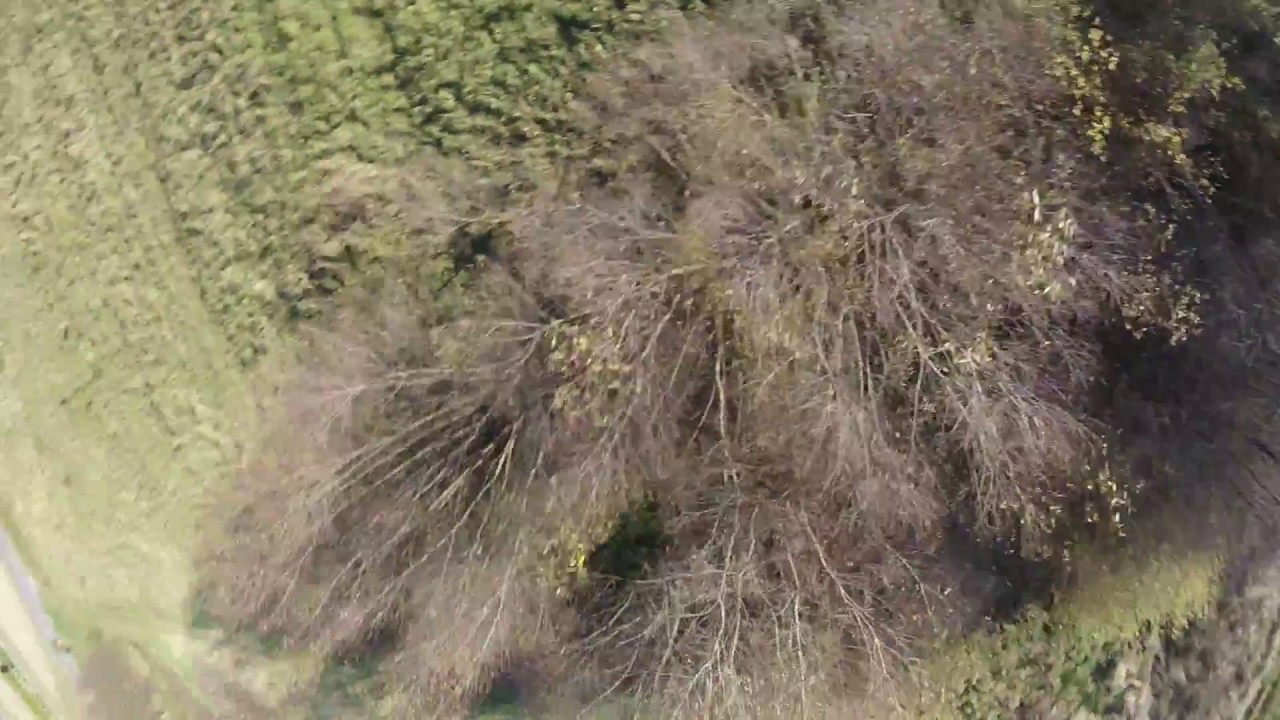 R9m, Range test + freestyle fury 5x