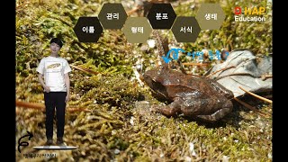 어떤동물일까요? [계곡산개구리]