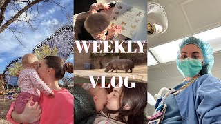 week in the life | mom & nicu nurse, mommy daughter zoo date, getting out of the house, grocery haul