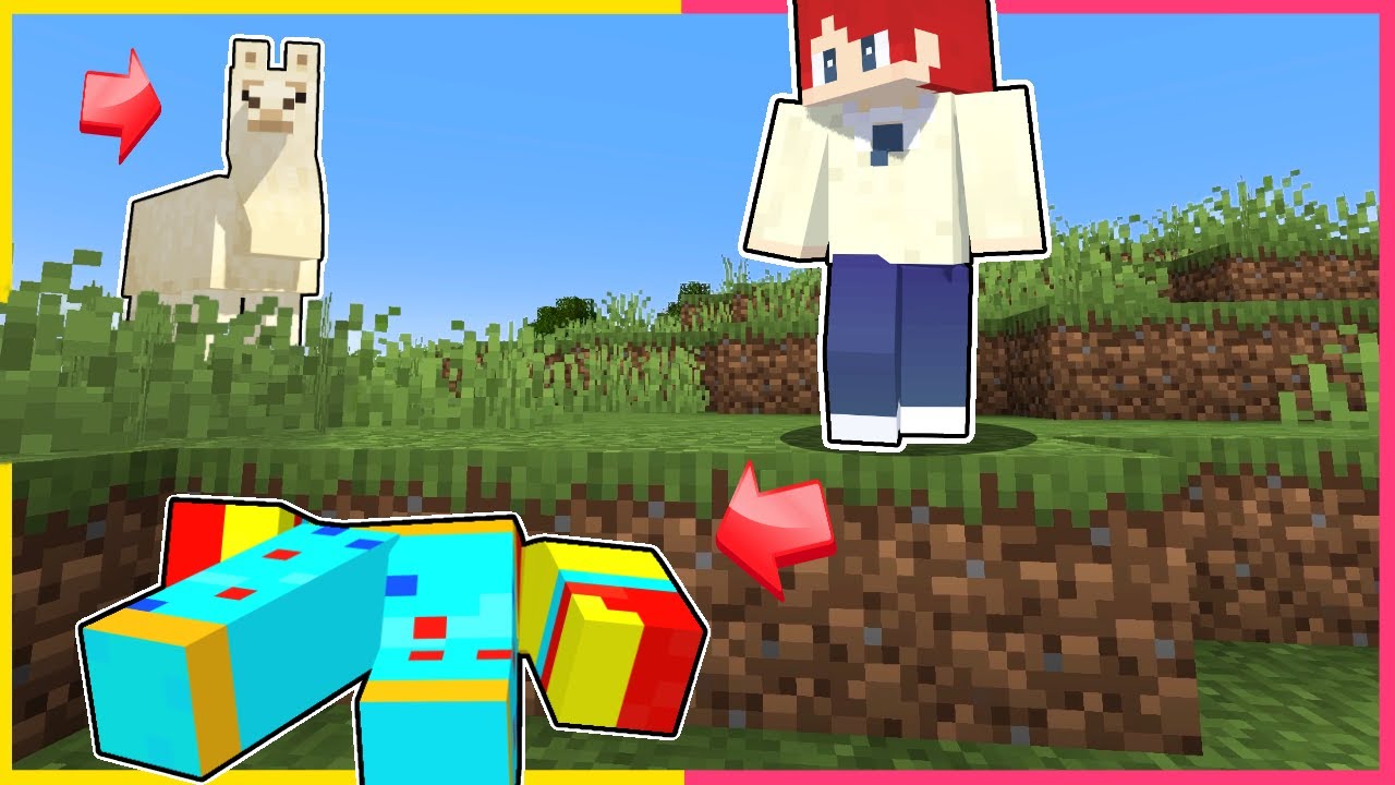 かなり何してもいいかくれんぼがカオスすぎる【まいくら・マイン