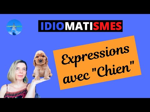 Chien - Idiomatismos em francês # 3