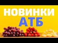 #АТБ #НОВИНКИАТБ #АКЦИИАТБ #ЦЕНЫ