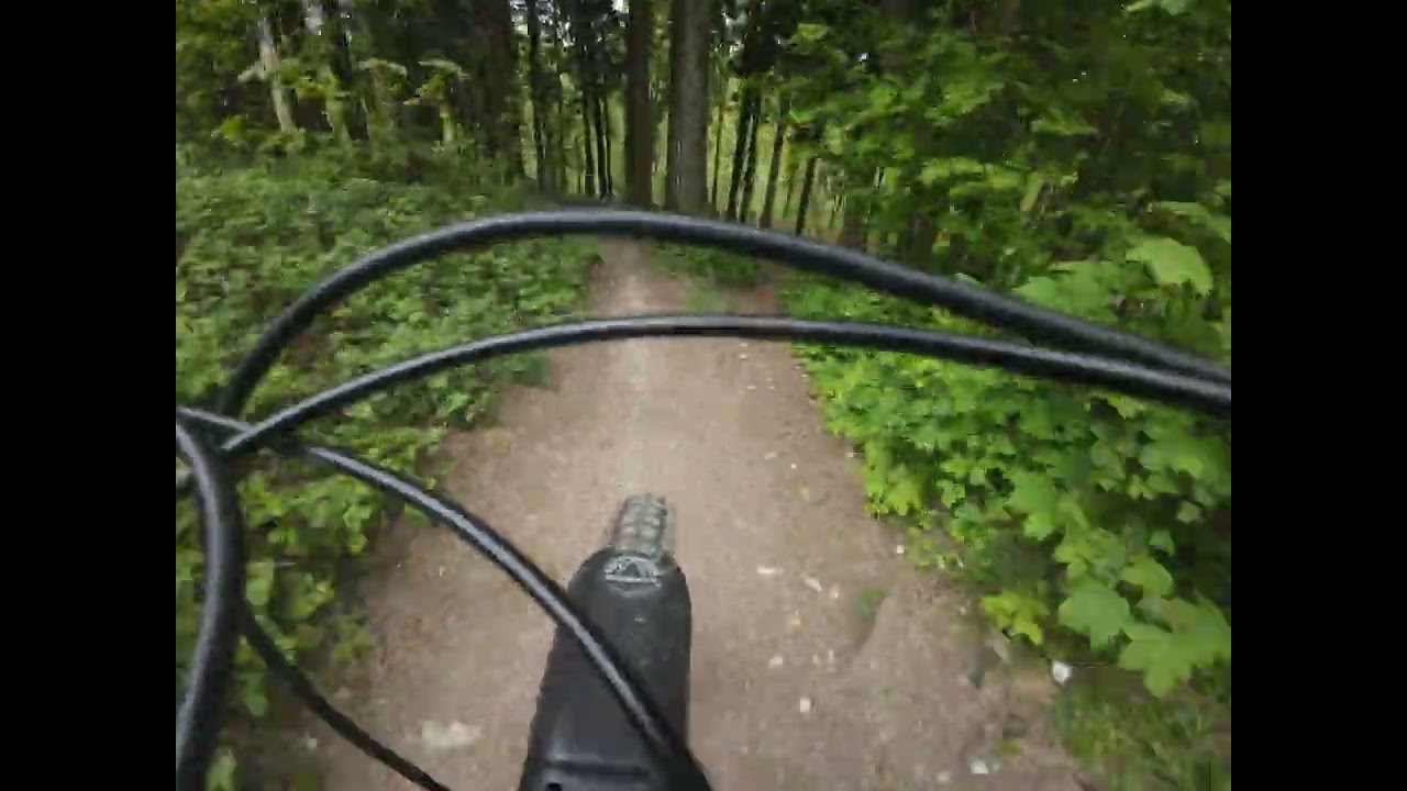 Xfiles friston forest