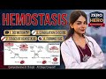 Hemostasis Explained Easily | Blood Physiology Lecture 08 | Clotting Mechanism in Hindi