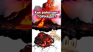Как работает торнадо? Поясняю на лабубу! #shorts #labubu #жизненныйопыт #школаильича #memes #мем
