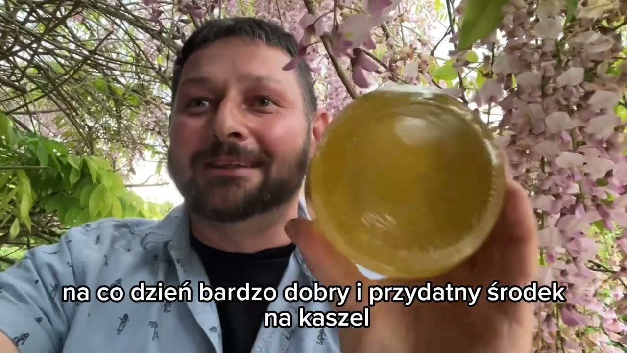 Miód akacjowy właściwości lecznicze