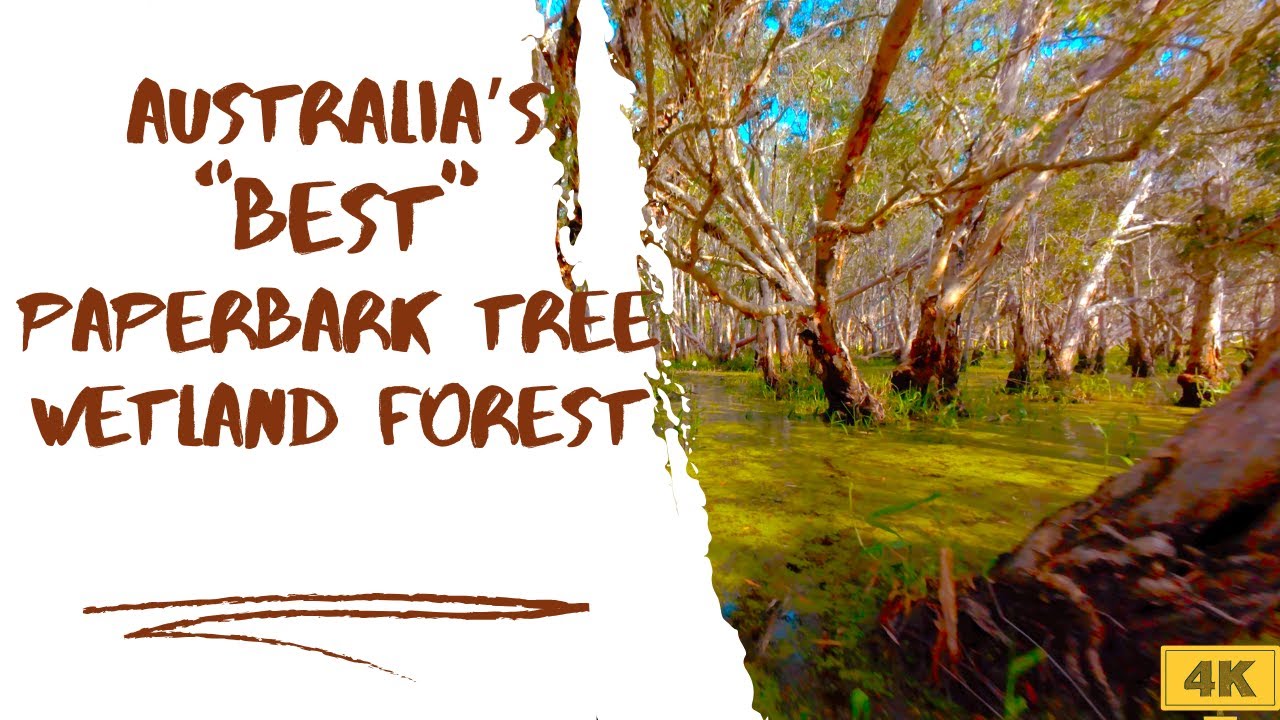 Australia's 