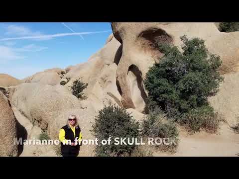 joshua-tree-national-park-california