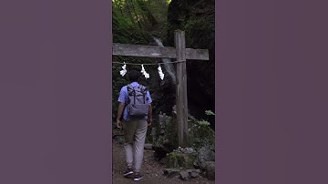 The Terrifying Legend of Jorōgumo: Beware the Spider Woman of Japan #shorts #storytime