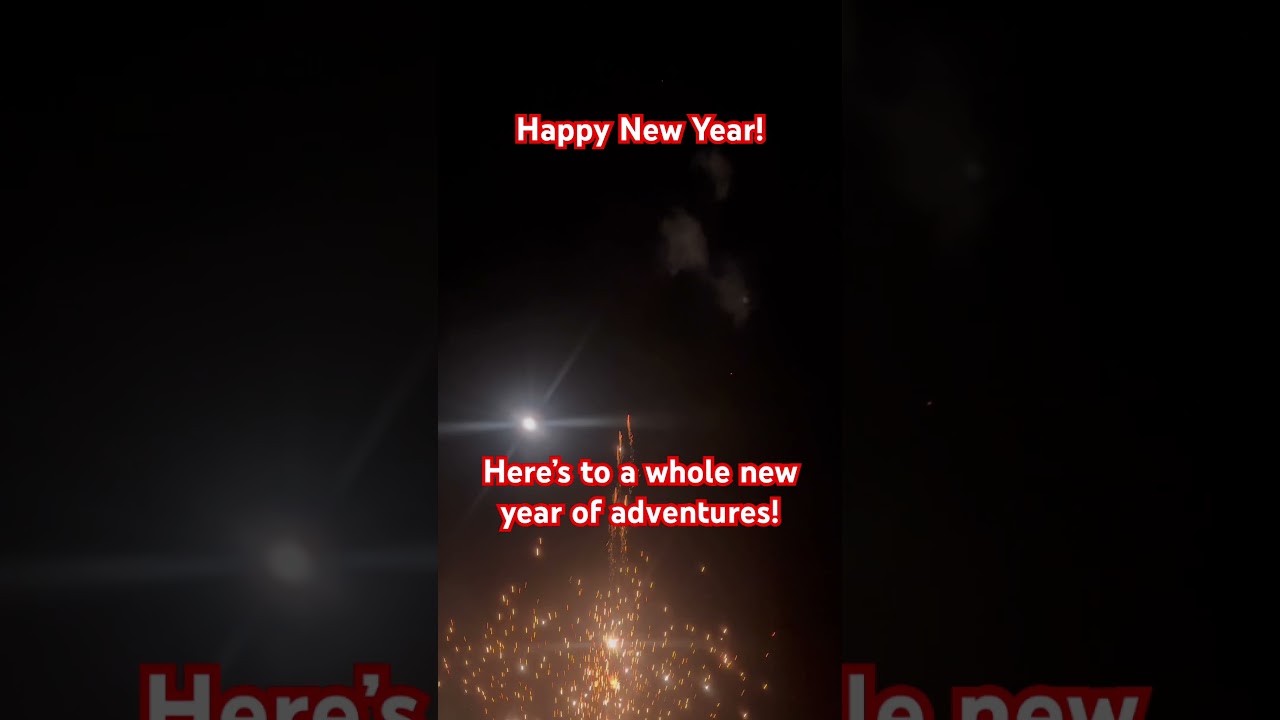 Happy New Year! Goodbye 2025