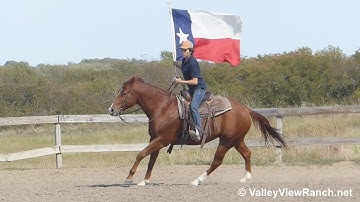 I Am A Little Booger - over ground poles, roping, carrying flag! - ValleyViewRanch.net