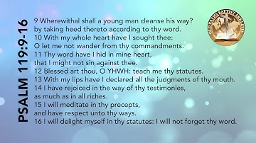 KJV Scripture Song - Psalm 119 9-16