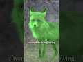 Why did the government release radioactive foxes?