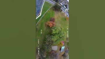 Split S over Trees - FPV Freestyle #tree #fpv #drone #fpvdrone #dji #fpvfreestyle #sky #shorts