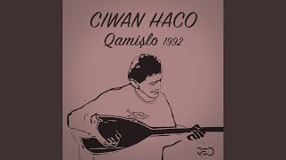 Video thumbnail of "Ciwan Haco - Canê"