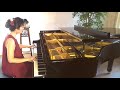 Miniature de la vidéo de la chanson Les Patineurs Du Lac Sgouroff