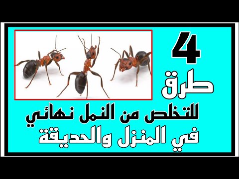 فيديو: 3 طرق لتنظيف الغراء الساخن اللاصق