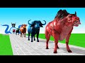 動物の牛の漫画、バッファロー、雄牛、ヤク、牛、バイソンの噴水を渡る動物変身ゲーム Animal transformation game with Cow Cartoon, Buffalo, Bull